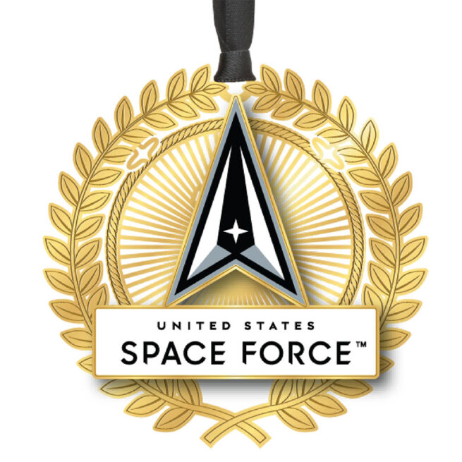 U.S. Space Force Logo