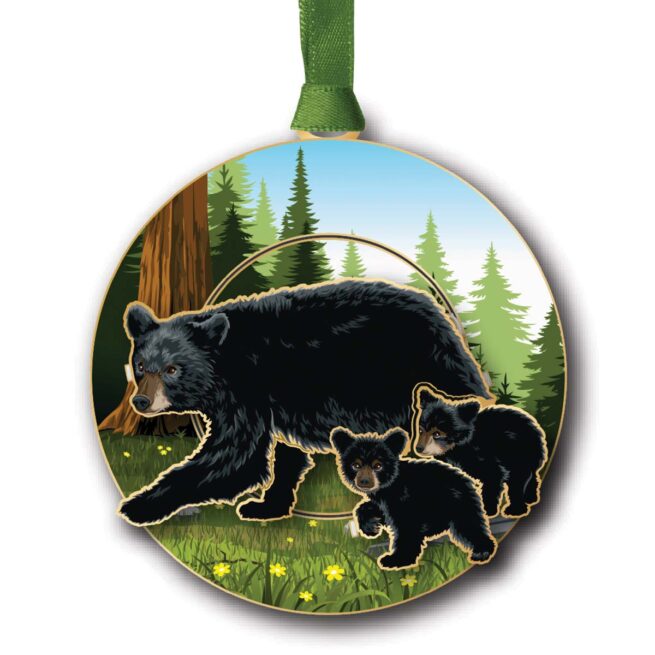 Black Bear & Cubs