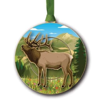 Mountain Elk